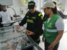 Dagma inicia operativos contra el tráfico de fauna y flora silvestre