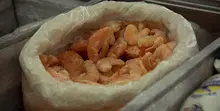 Recomendaciones de Salud Pública Distrital para Semana Santa