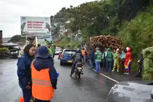 Autoridades ambientales hacen equipo para proteger el gran Bosque Pacífico