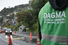 Autoridades ambientales hacen equipo para proteger el gran Bosque Pacífico
