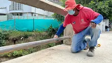 Adelantan labores de embellecimiento y rehabilitación vial en el oeste de Cali