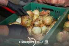 Secretaría de Educación visitó bodegas de operadores del PAE