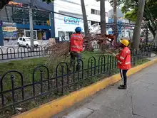 Jornadas para una ‘Cali divina’ en la semana mayor