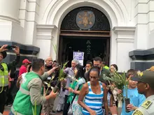 Este Domingo de Ramos no se observó tráfico o uso de palma de cera en Cali