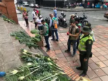 Este Domingo de Ramos no se observó tráfico o uso de palma de cera en Cali