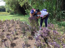 Mujeres quedaron enamoradas al visitar ‘Corazón de Pance’ en Cali