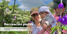 Recreación pasiva