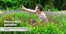 Recorridos guiados