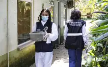 Autoridades realizaron aprehensión preventiva de 180 especímenes en laboratorio de Caucaseco