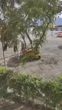 Dagma detecta reincidencia en transgresión ambiental