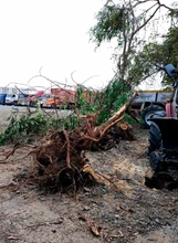 Dagma detecta reincidencia en transgresión ambiental