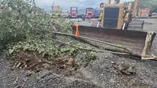 Dagma detecta reincidencia en transgresión ambiental