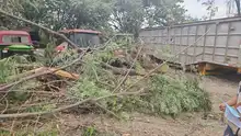 Dagma detecta reincidencia en transgresión ambiental