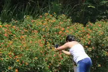 Semana de recorrido ambiental en el “Corazón de Pance”