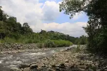 Semana de recorrido ambiental en el “Corazón de Pance”