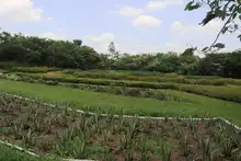 Semana de recorrido ambiental en el “Corazón de Pance”