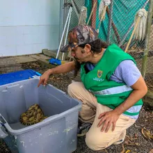 Dagma, esperanza de vida para especies víctimas del tráfico de fauna silvestre