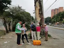 Grave agresión a ceiba notable en la calle quinta