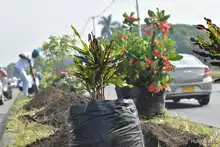 Caleños y caleñas engalanaron la entrada sur de la ciudad
