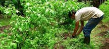 Gestores se capacitan en la creación de huertas urbanas que integrarán los comedores comunitarios de Cali 