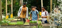 Gestores se capacitan en la creación de huertas urbanas que integrarán los comedores comunitarios de Cali 