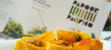 Comunidad participa activamente en el desarrollo de Parque Pacífico