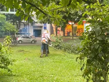 Parque de La Música se enlució con jornada de limpieza y ornato