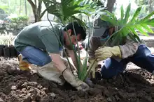 Administración caleña transforma el cuidado y embellecimiento de los espacios públicos