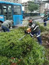 Administración caleña transforma el cuidado y embellecimiento de los espacios públicos