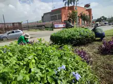 El Encuentro Mundial de las Culturas Populares estará rodeado de diversidad, flores y colores