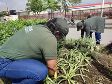El Encuentro Mundial de las Culturas Populares estará rodeado de diversidad, flores y colores