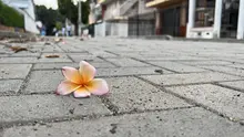 Mejoran infraestructura vial de adoquines en la comuna 15 de Cali