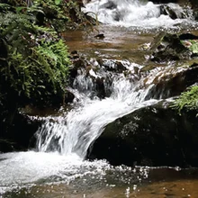 Agua