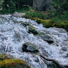 Agua