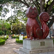 Gato de Tejada