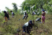 Con 120 especies plantadas se celebró el Día del Árbol, en el Corazón de Pance