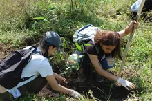 Con 120 especies plantadas se celebró el Día del Árbol, en el Corazón de Pance