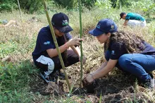 Con 120 especies plantadas se celebró el Día del Árbol, en el Corazón de Pance