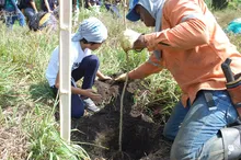 Con 120 especies plantadas se celebró el Día del Árbol, en el Corazón de Pance