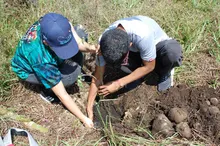 Con 120 especies plantadas se celebró el Día del Árbol, en el Corazón de Pance