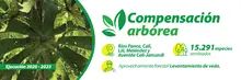 Compensación arbórea