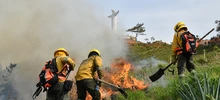 “Todos estos incendios son provocados en forma dolosa”: Rodrigo Zamorano