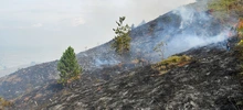“Todos estos incendios son provocados en forma dolosa”: Rodrigo Zamorano