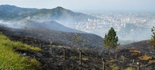 “Todos estos incendios son provocados en forma dolosa”: Rodrigo Zamorano
