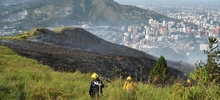 “Todos estos incendios son provocados en forma dolosa”: Rodrigo Zamorano