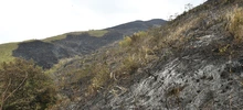 Bomberos le siguen el rastro a la ‘huella’ criminal del incendio en Cristo Rey