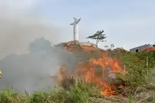 Alcaldía ofrece hasta $5 millones para capturar a responsables de incendios en áreas protegidas y en bienes públicos o privados 