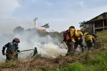 Alcaldía ofrece hasta $5 millones para capturar a responsables de incendios en áreas protegidas y en bienes públicos o privados 