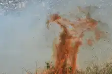 Alcaldía ofrece hasta $5 millones para capturar a responsables de incendios en áreas protegidas y en bienes públicos o privados 