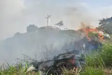 Alcaldía ofrece hasta $5 millones para capturar a responsables de incendios en áreas protegidas y en bienes públicos o privados 